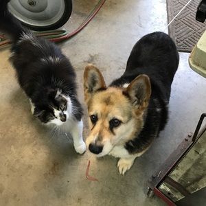 Meet your Posher, Vicki